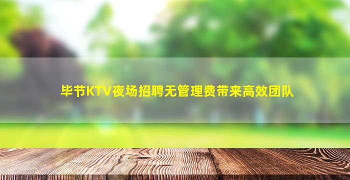 毕节KTV夜场招聘无管理费带来高效团队